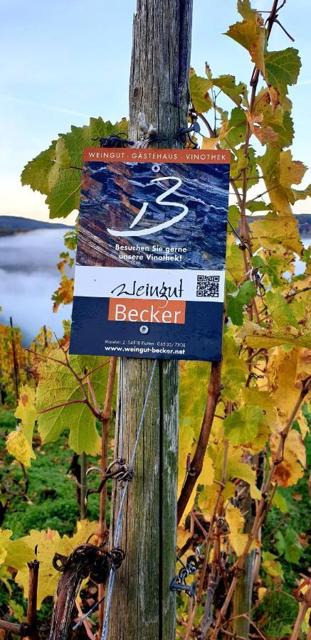 Weingut U. Gaestehaus Becker Platten Luaran gambar
