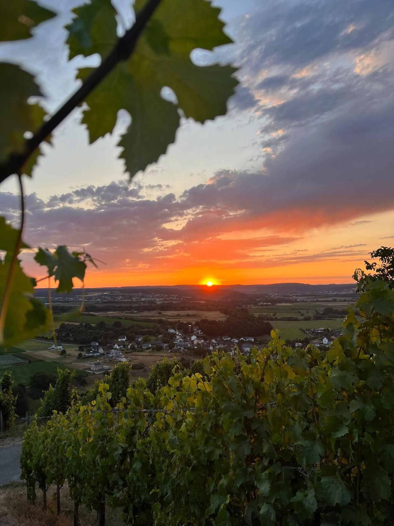 Weingut U. Gaestehaus Becker Platten Luaran gambar
